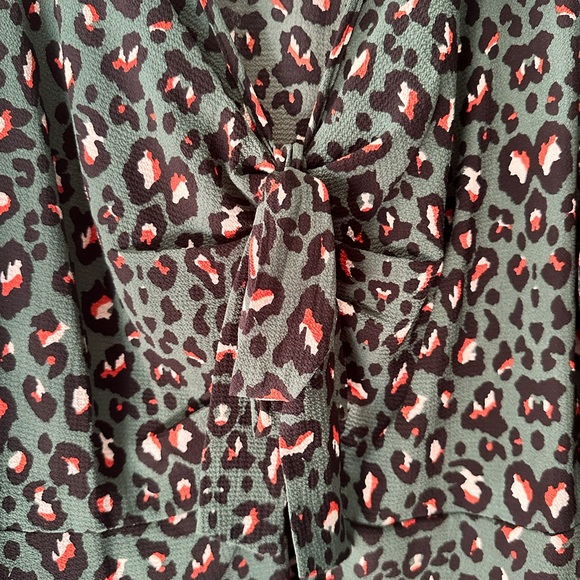 Chic & Flowy Leopard Print V-Neck Blouse - Picture 3 of 6